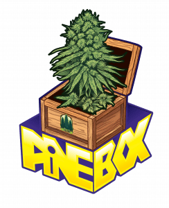 pinebox logo concept 2 01 244x300