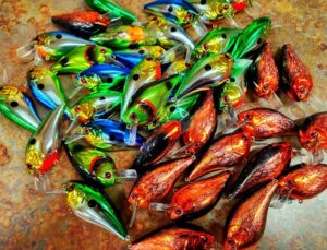 rippn lips tackle company 300x229