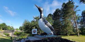 117dd678 0a1e 41a2 b7ce f0daf66ce580 2022 07 30 300x150