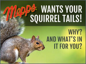 mepps wants your squirrel tails2 300x223