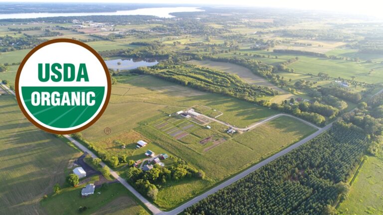 new og logo website 768x432