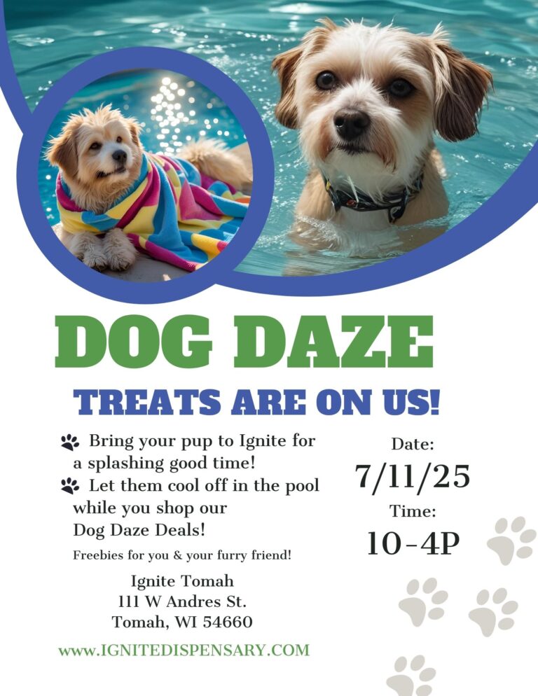 ignite dog days 768x994