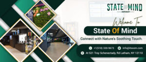 state of mind dispensary ny 300x128