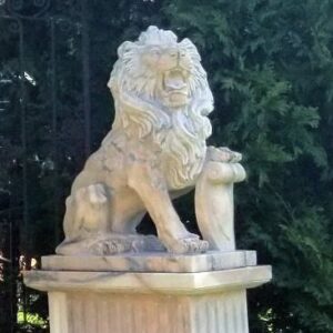 adelines house of cool 1 300x300