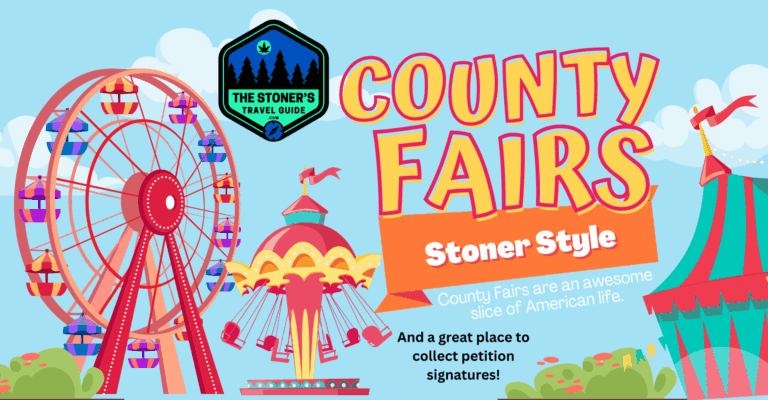 county fairs 768x400