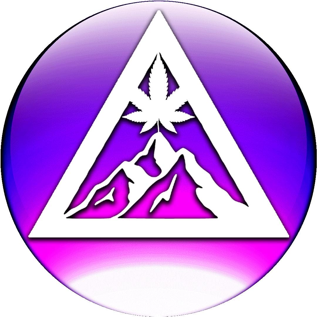 elevated exotics logo 2