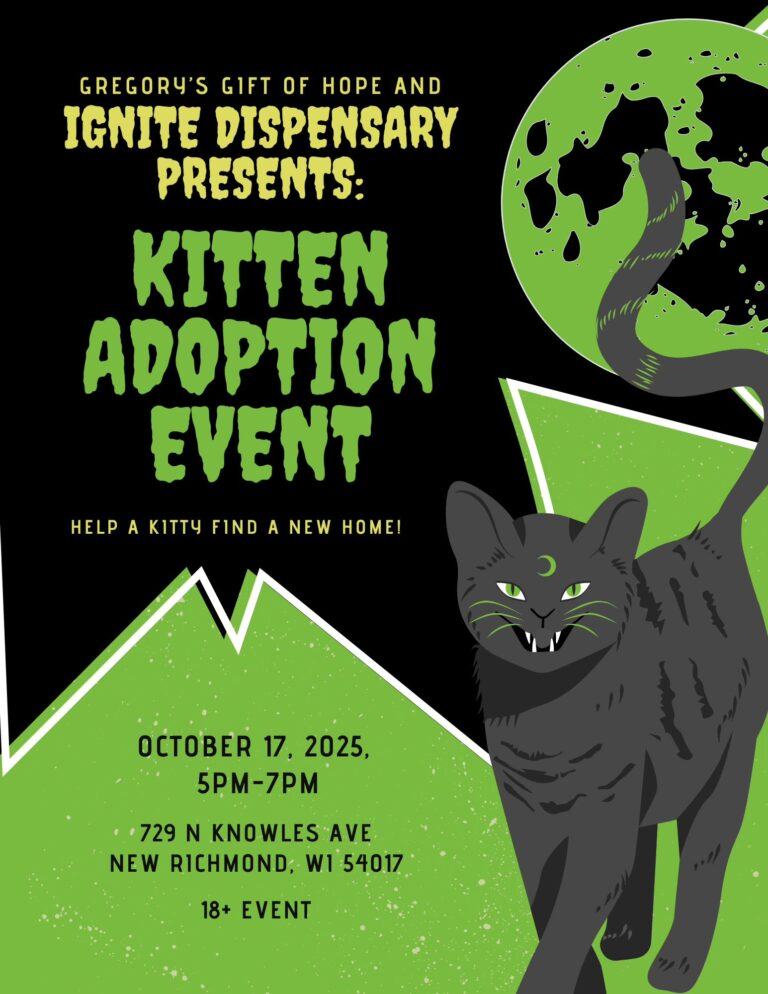 ignite adopt a kitten 768x994