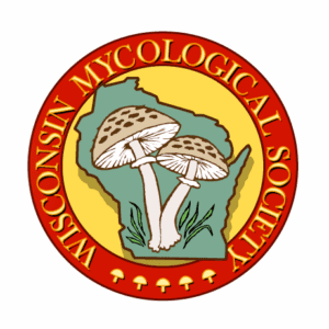 wisconsin mycological society 300x300