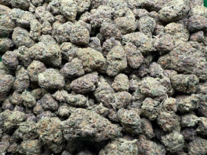 3tall pines flower 300x225