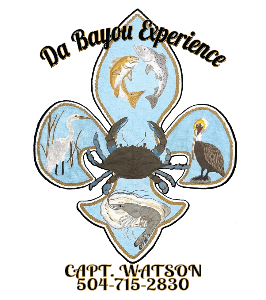 da bayou first section 1