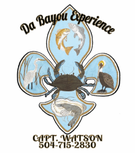 da bayou first section 266x300