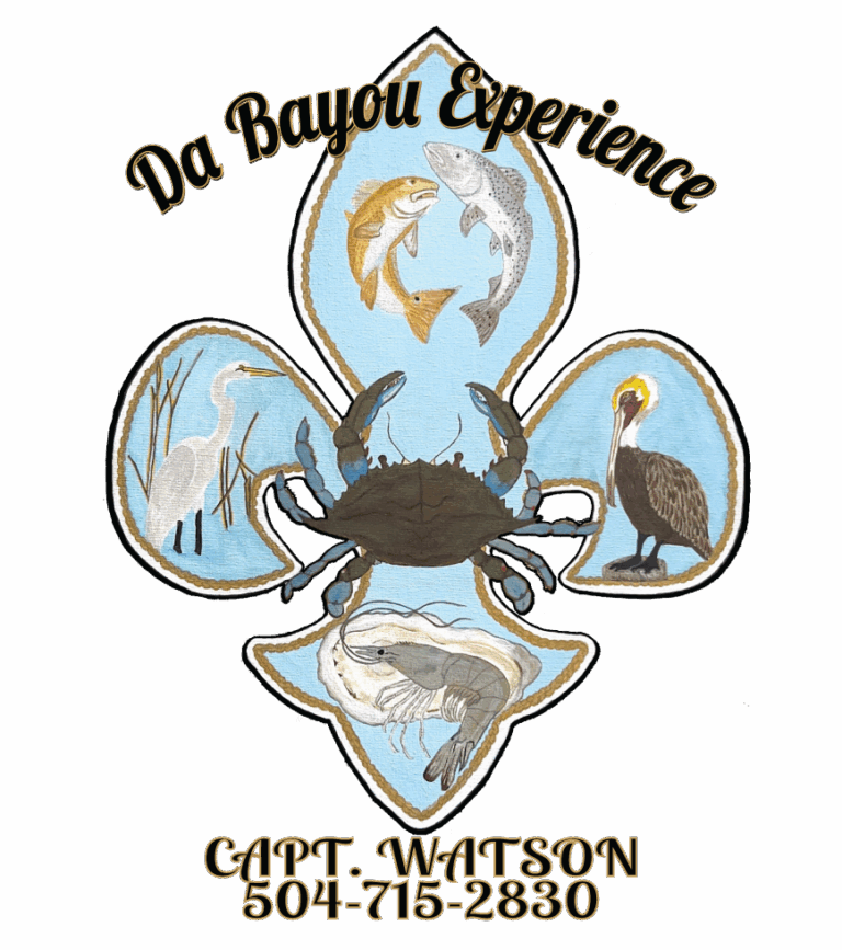 da bayou first section 768x867