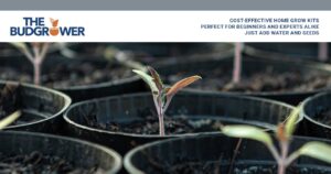 the budgrower promo pic 300x158