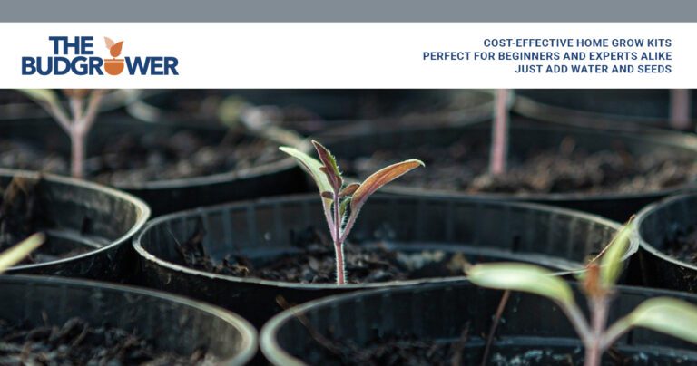 the budgrower promo pic 768x404