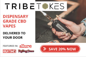tribetokes 300x200 lifestyle vapes 1 300x200
