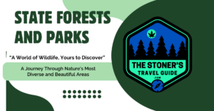 state forest and parks 300x156