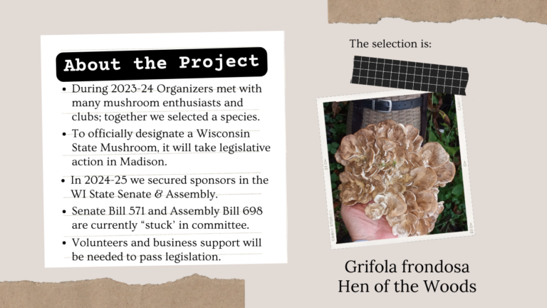 state mushroom project 2 768x432