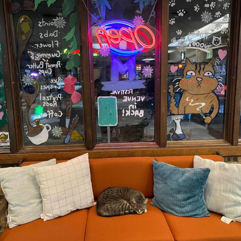 kush kafe cat 768x768