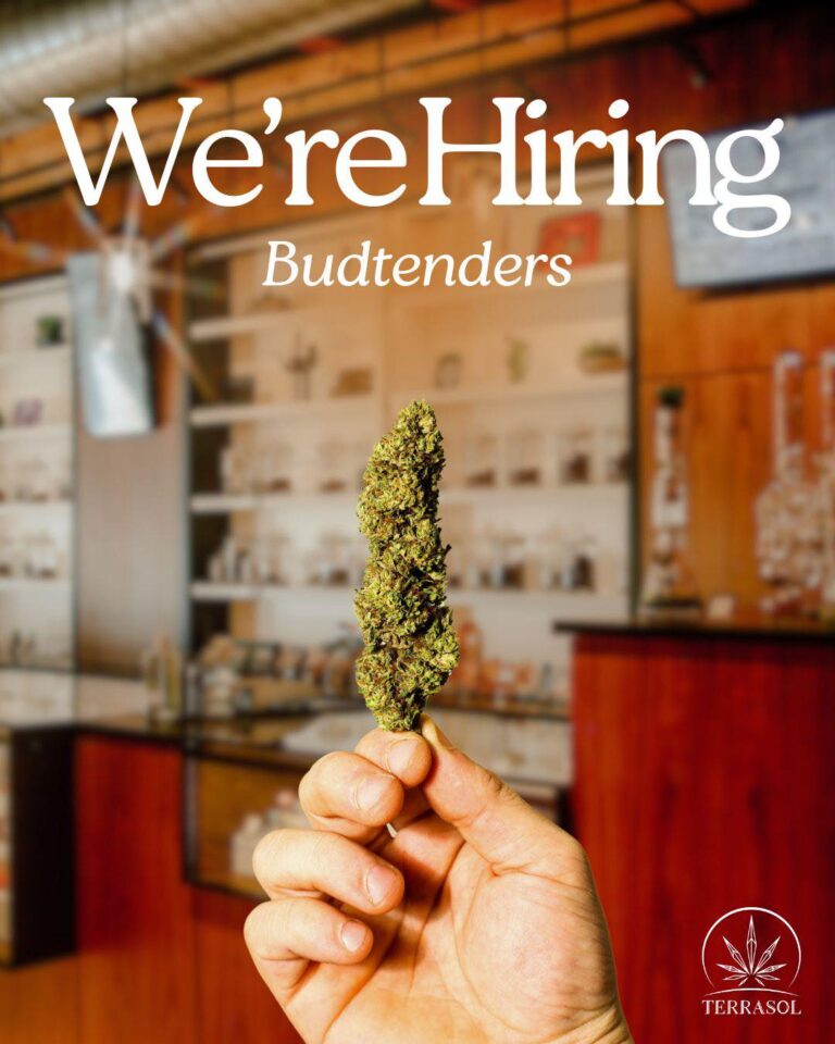 terrasols job 768x960