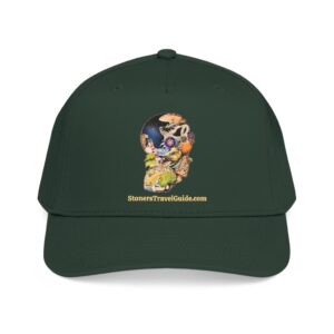 the stoner's travel guide to wisconsin baseball cap — vintage embroidered hat