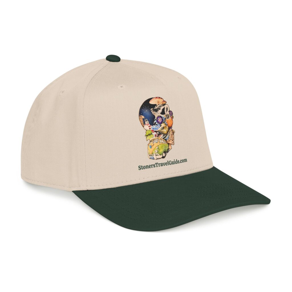tstg enterprises baseball cap — embroidered logo hat