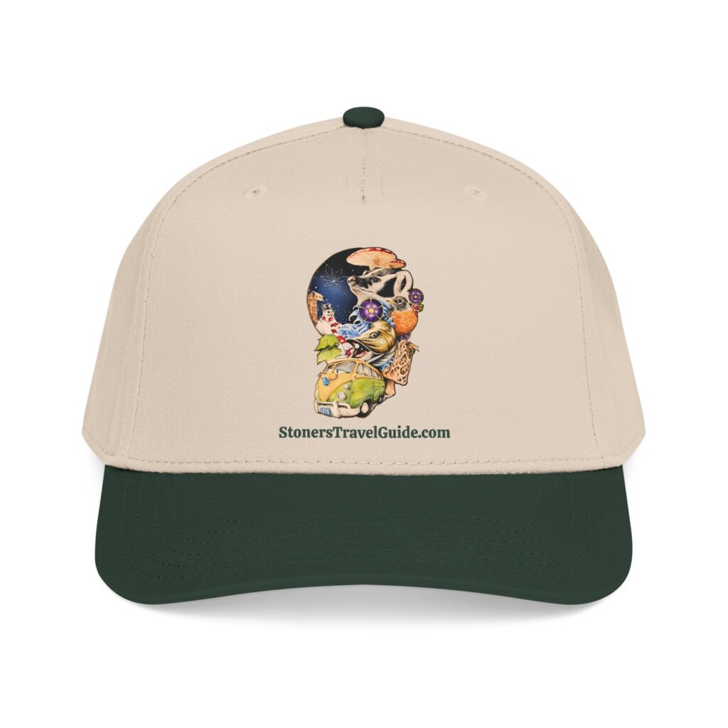 tstg enterprises baseball cap — embroidered logo hat