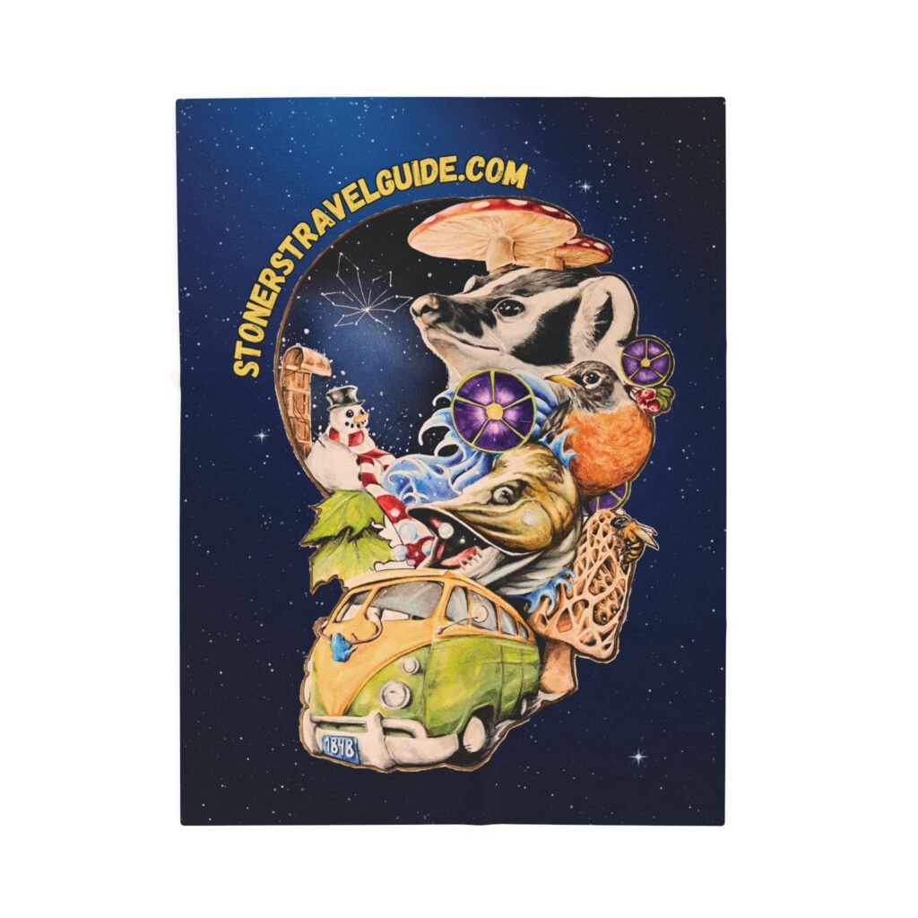 the stoner's travel guide to wisconsin cover art plush blanket — whimsical cosmic collage velveteen throw