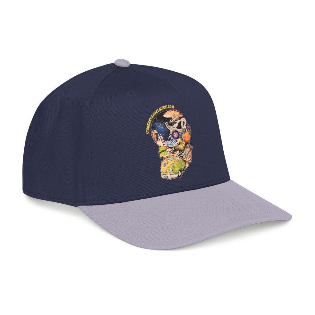 the stoner's travel guide to wisconsin branded baseball cap — vintage embroidered hat