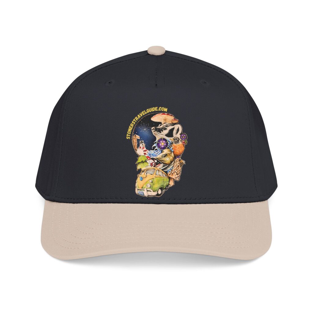 the stoner's travel guide to wisconsin branded baseball cap — vintage embroidered hat
