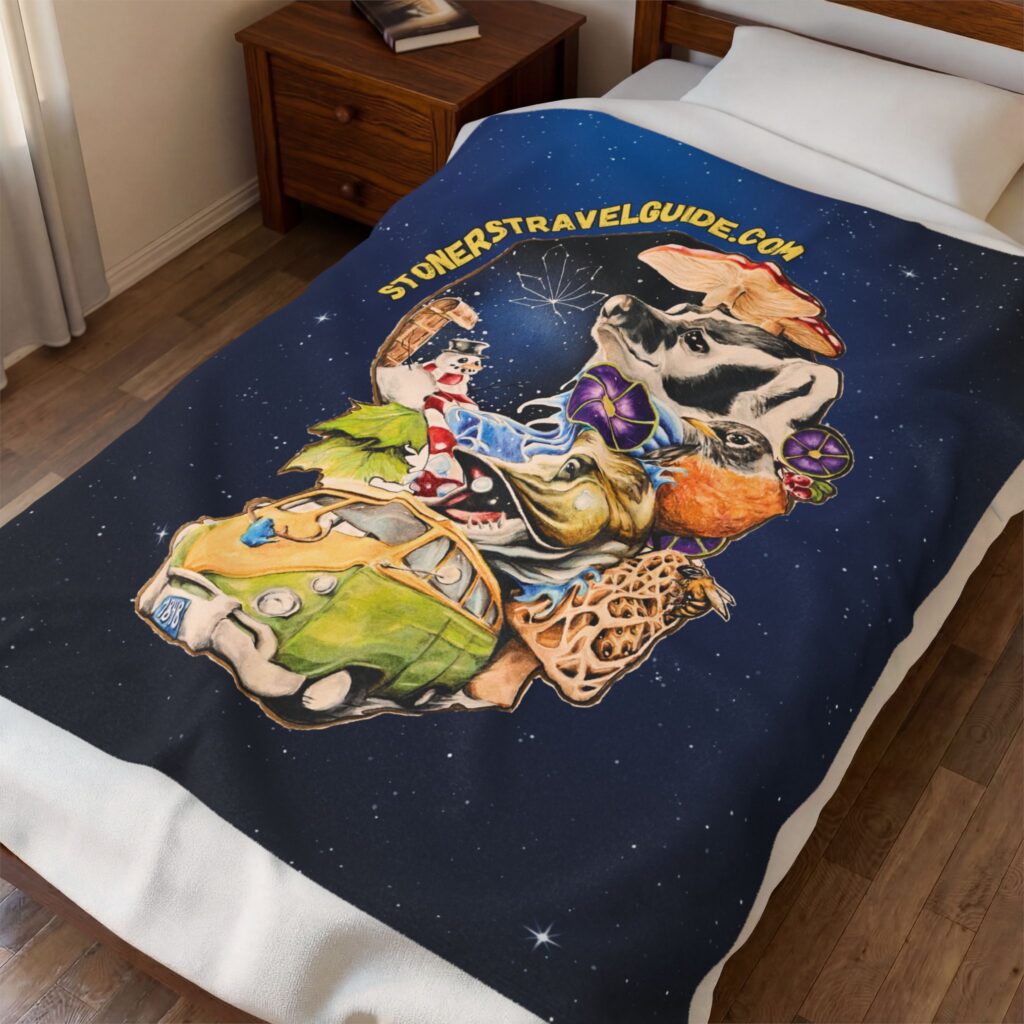 the stoner's travel guide to wisconsin cover art plush blanket — whimsical cosmic collage velveteen throw
