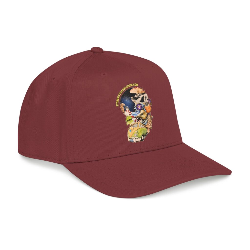 the stoner's travel guide to wisconsin branded baseball cap — vintage embroidered hat
