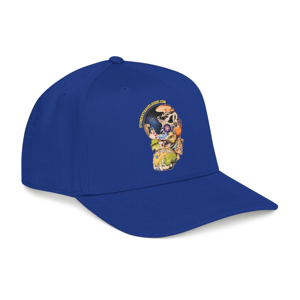 the stoner's travel guide to wisconsin branded baseball cap — vintage embroidered hat