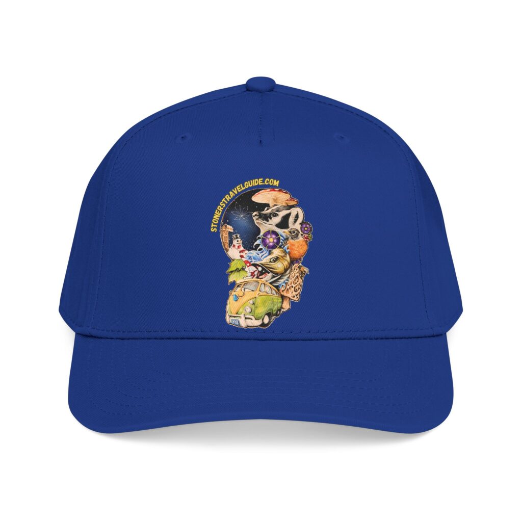 the stoner's travel guide to wisconsin branded baseball cap — vintage embroidered hat