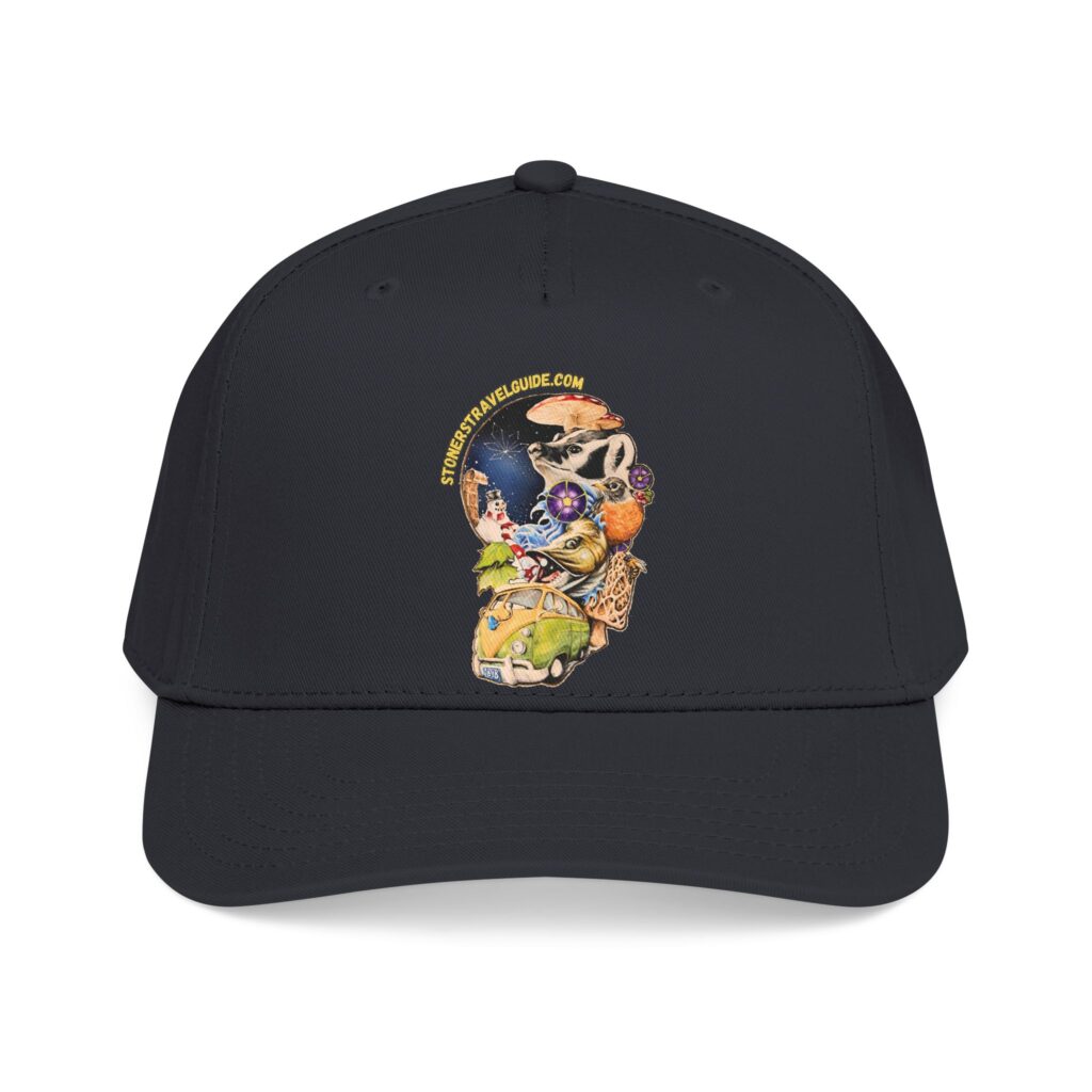 the stoner's travel guide to wisconsin branded baseball cap — vintage embroidered hat