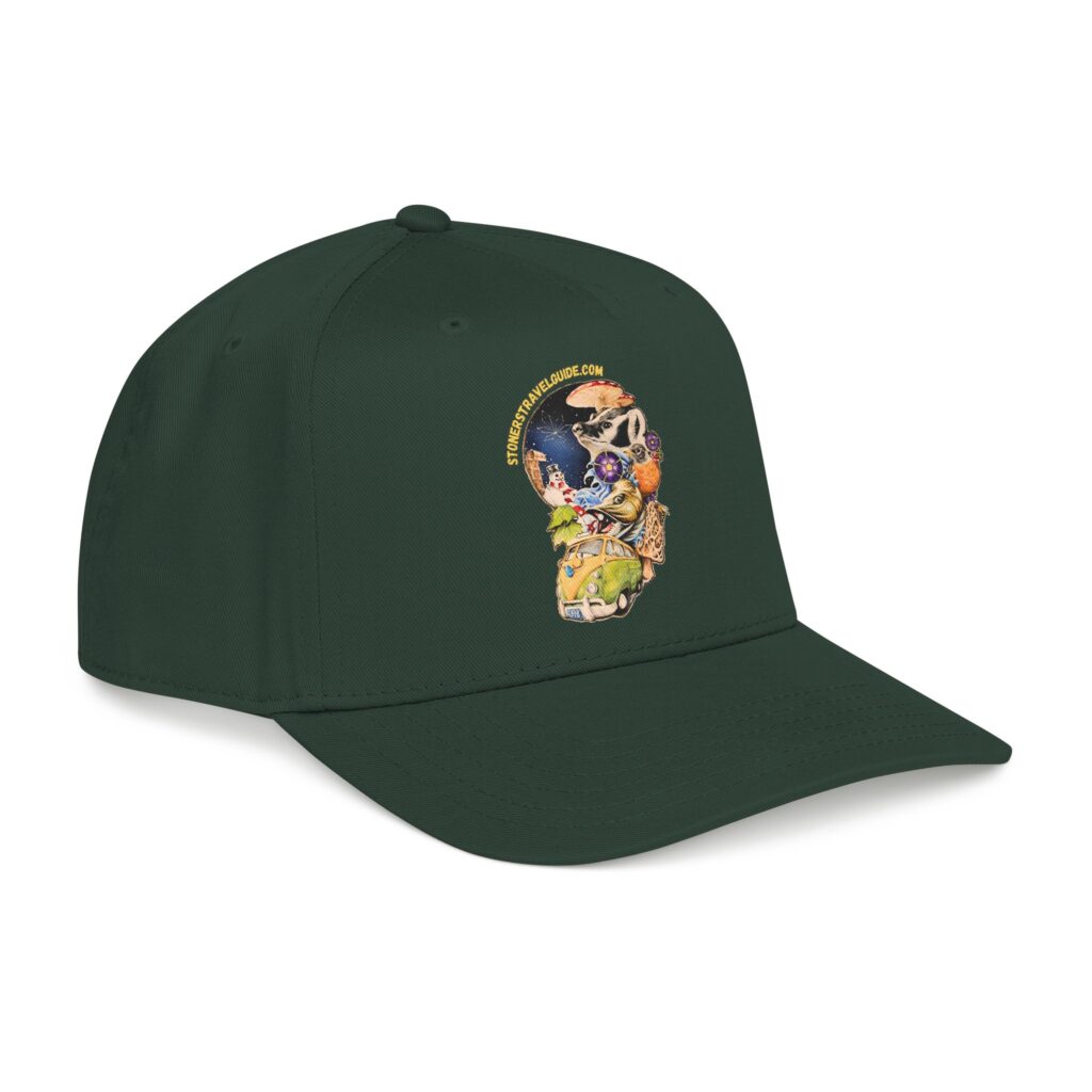 the stoner's travel guide to wisconsin branded baseball cap — vintage embroidered hat
