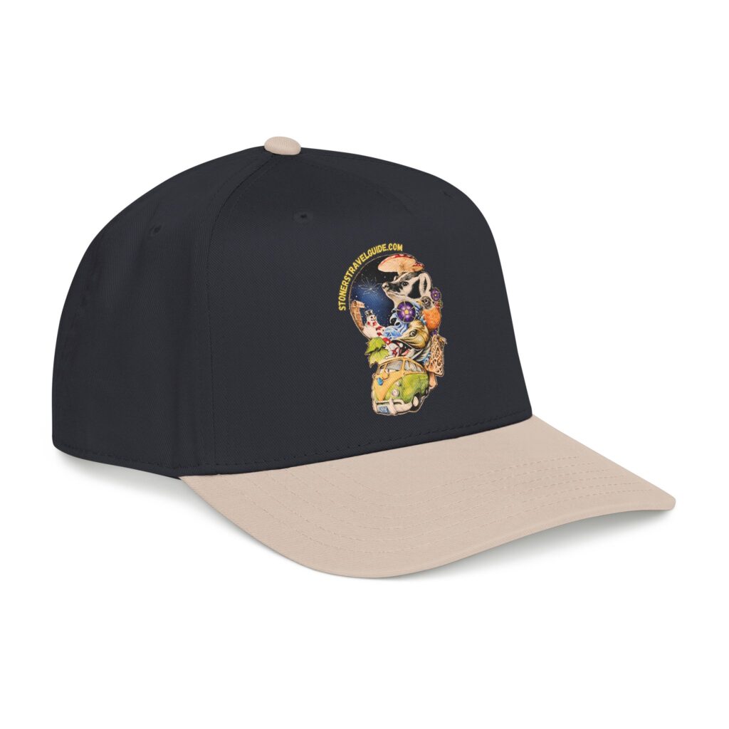 the stoner's travel guide to wisconsin branded baseball cap — vintage embroidered hat
