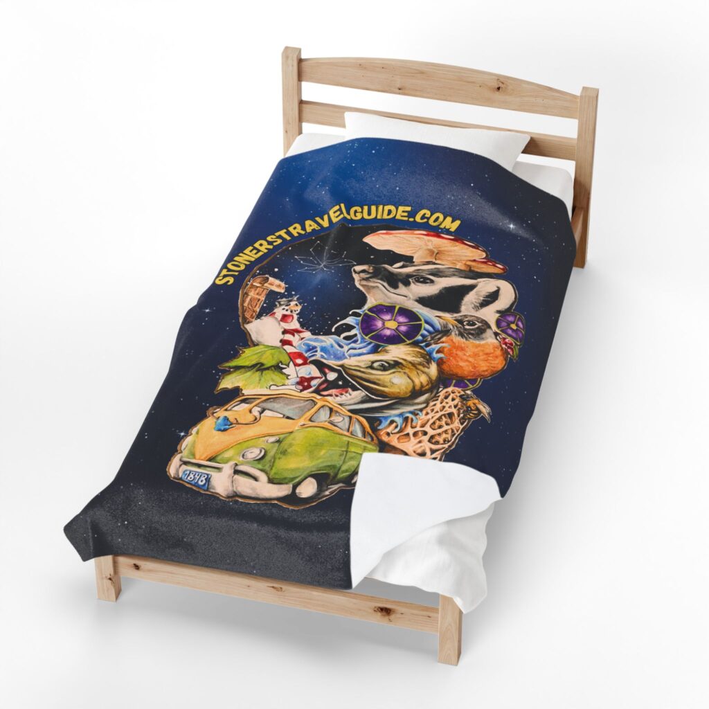 the stoner's travel guide to wisconsin cover art plush blanket — whimsical cosmic collage velveteen throw