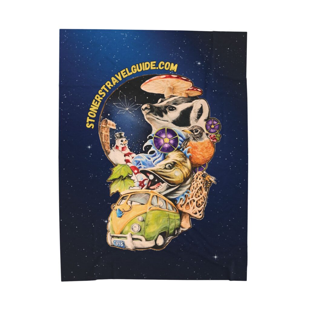 the stoner's travel guide to wisconsin cover art plush blanket — whimsical cosmic collage velveteen throw