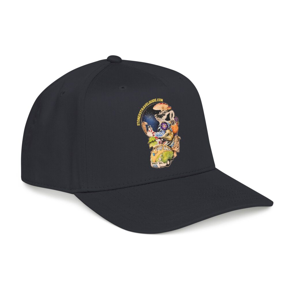 the stoner's travel guide to wisconsin branded baseball cap — vintage embroidered hat