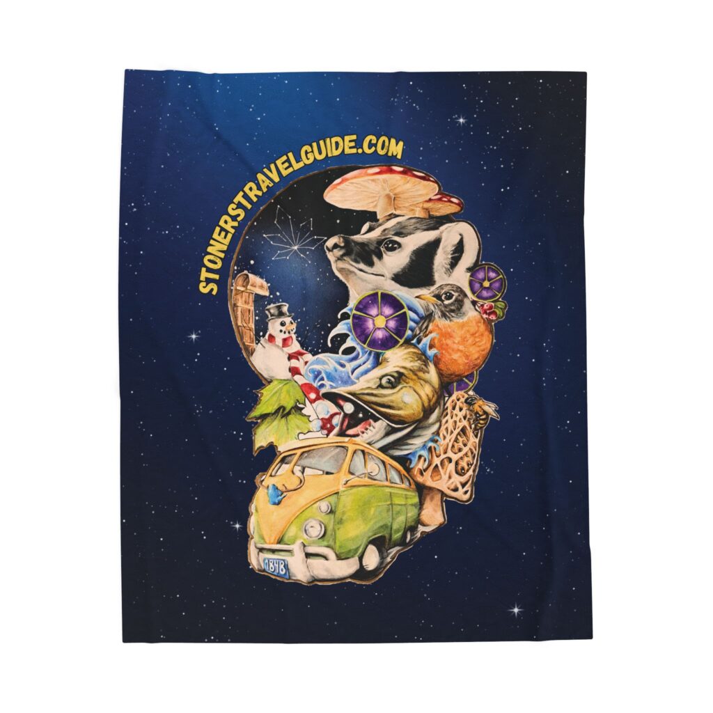 the stoner's travel guide to wisconsin cover art plush blanket — whimsical cosmic collage velveteen throw