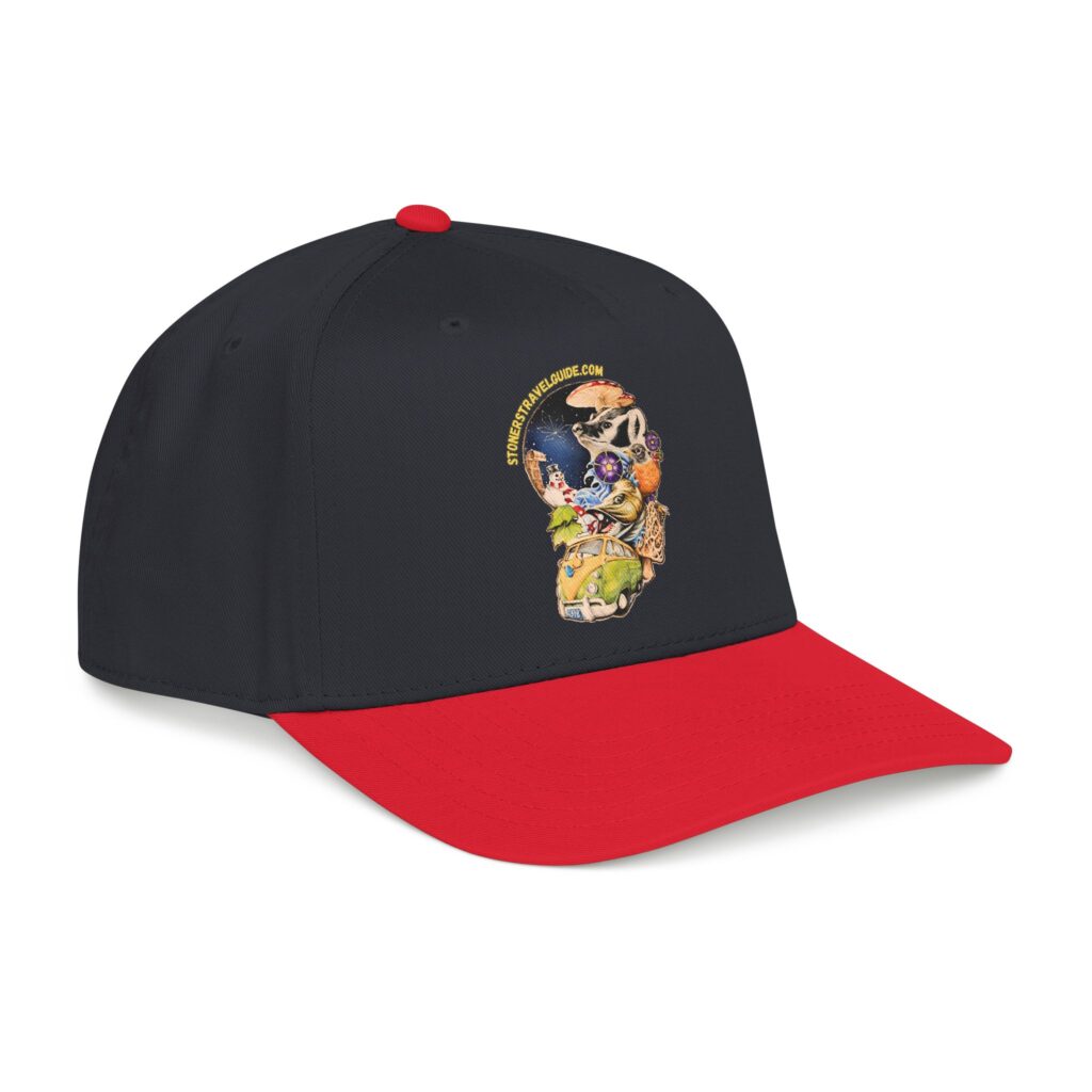 the stoner's travel guide to wisconsin branded baseball cap — vintage embroidered hat