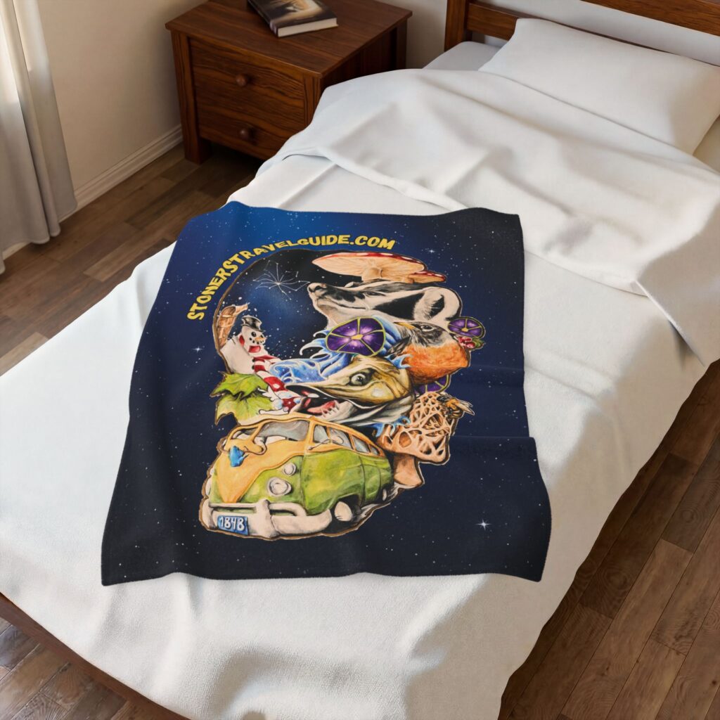 the stoner's travel guide to wisconsin cover art plush blanket — whimsical cosmic collage velveteen throw