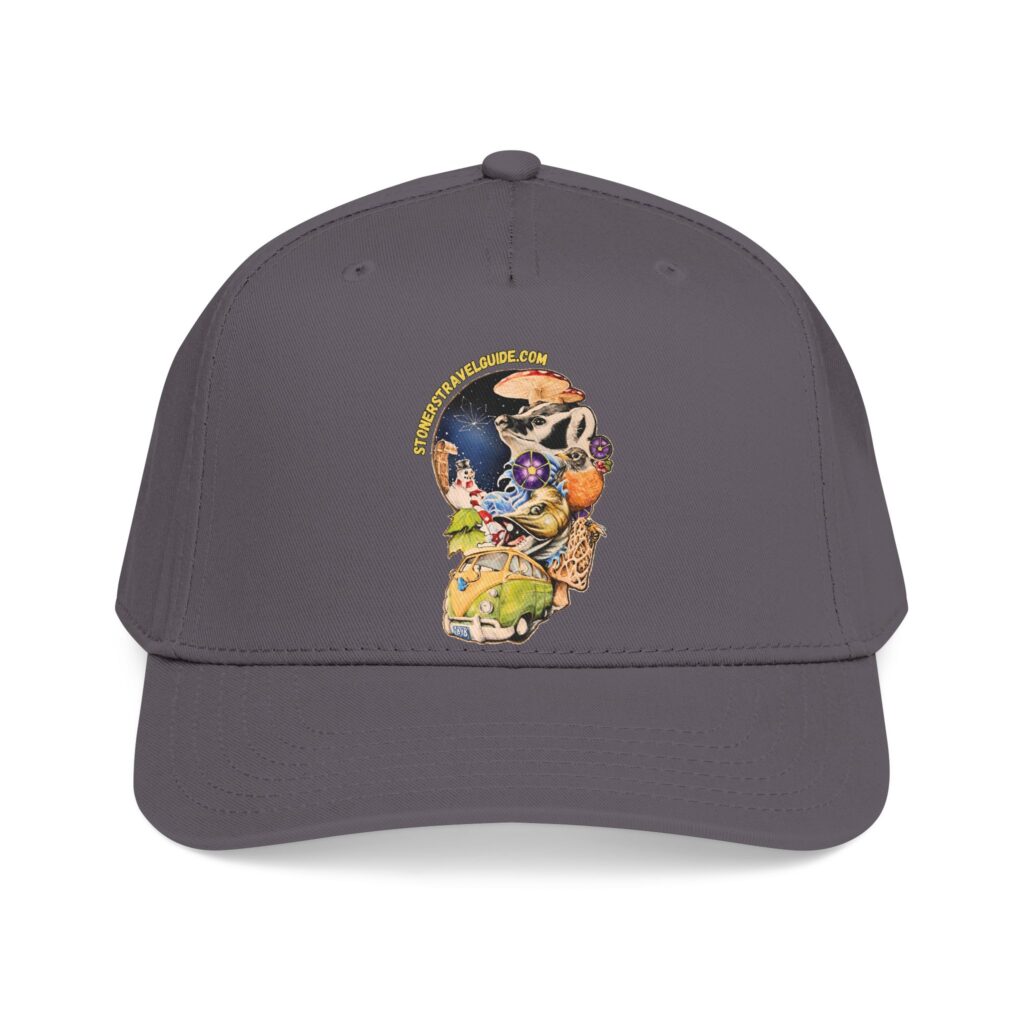 the stoner's travel guide to wisconsin branded baseball cap — vintage embroidered hat
