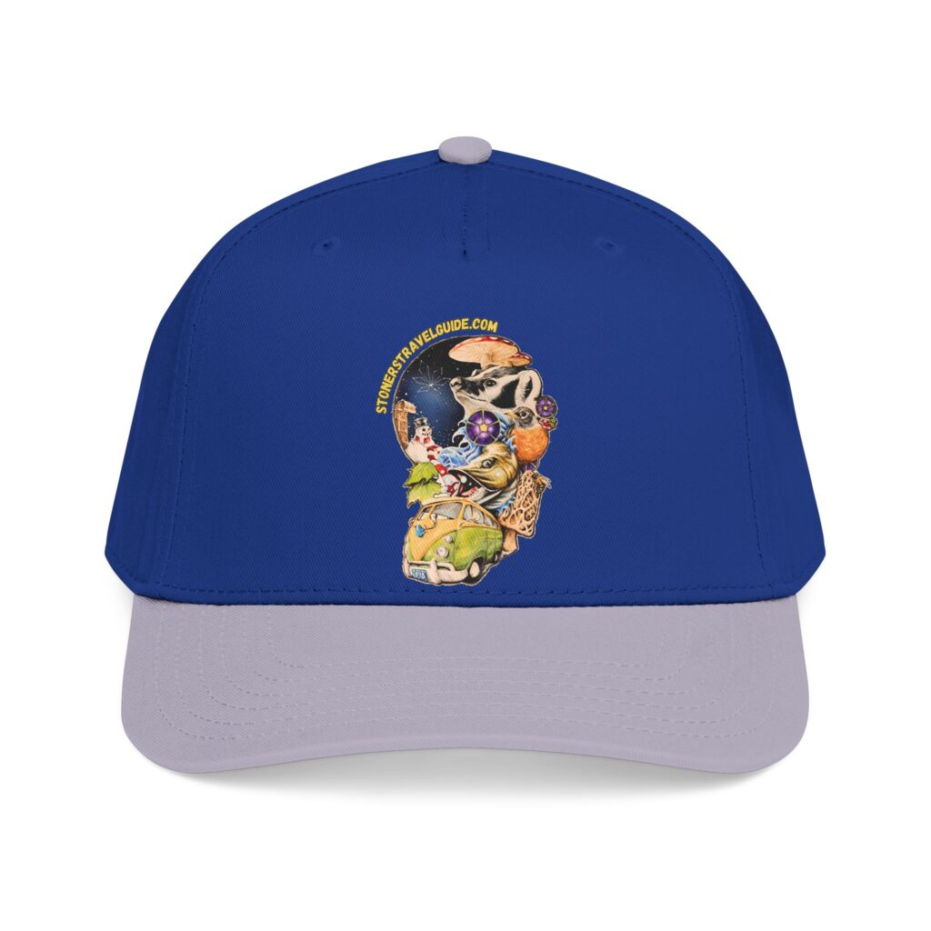 the stoner's travel guide to wisconsin branded baseball cap — vintage embroidered hat