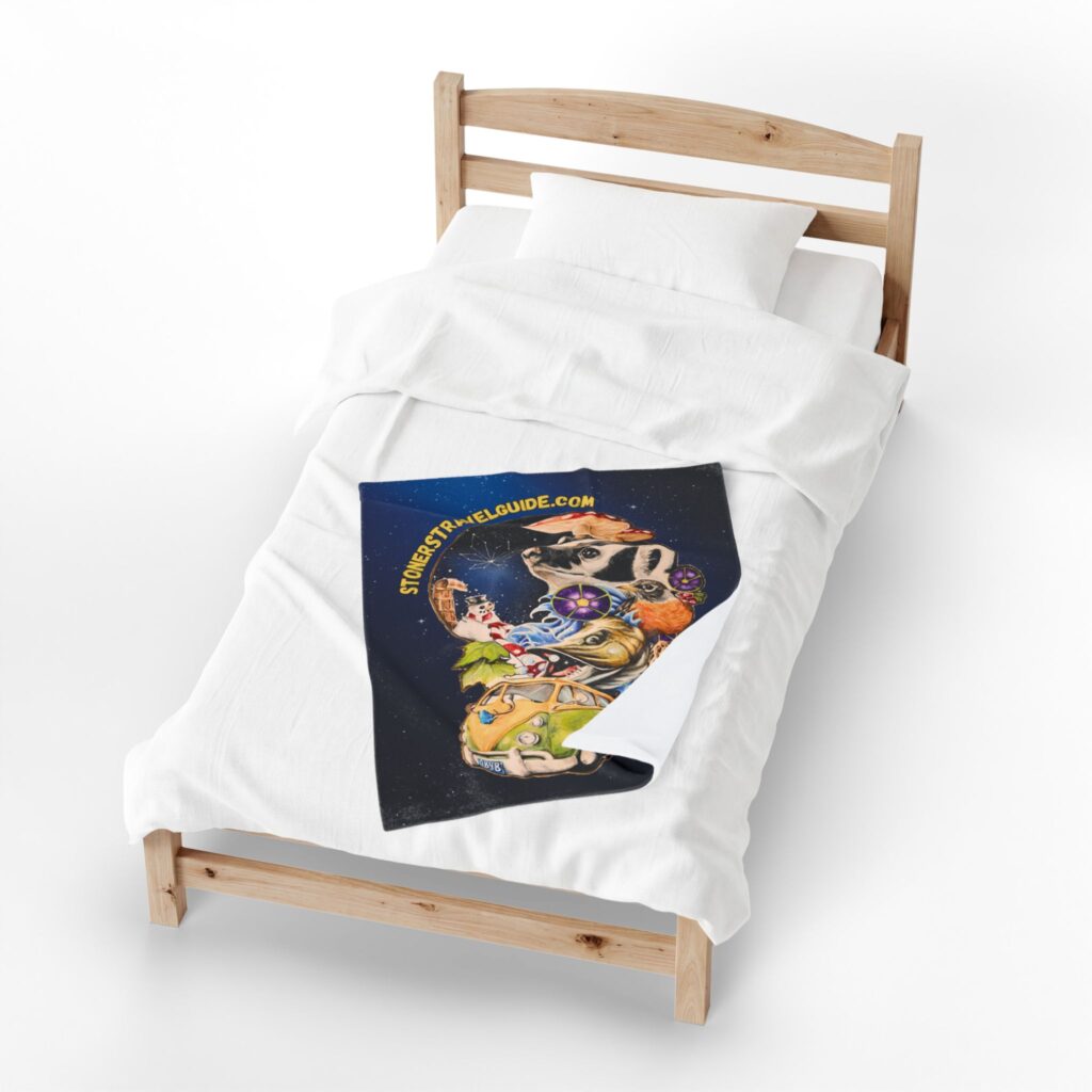 the stoner's travel guide to wisconsin cover art plush blanket — whimsical cosmic collage velveteen throw
