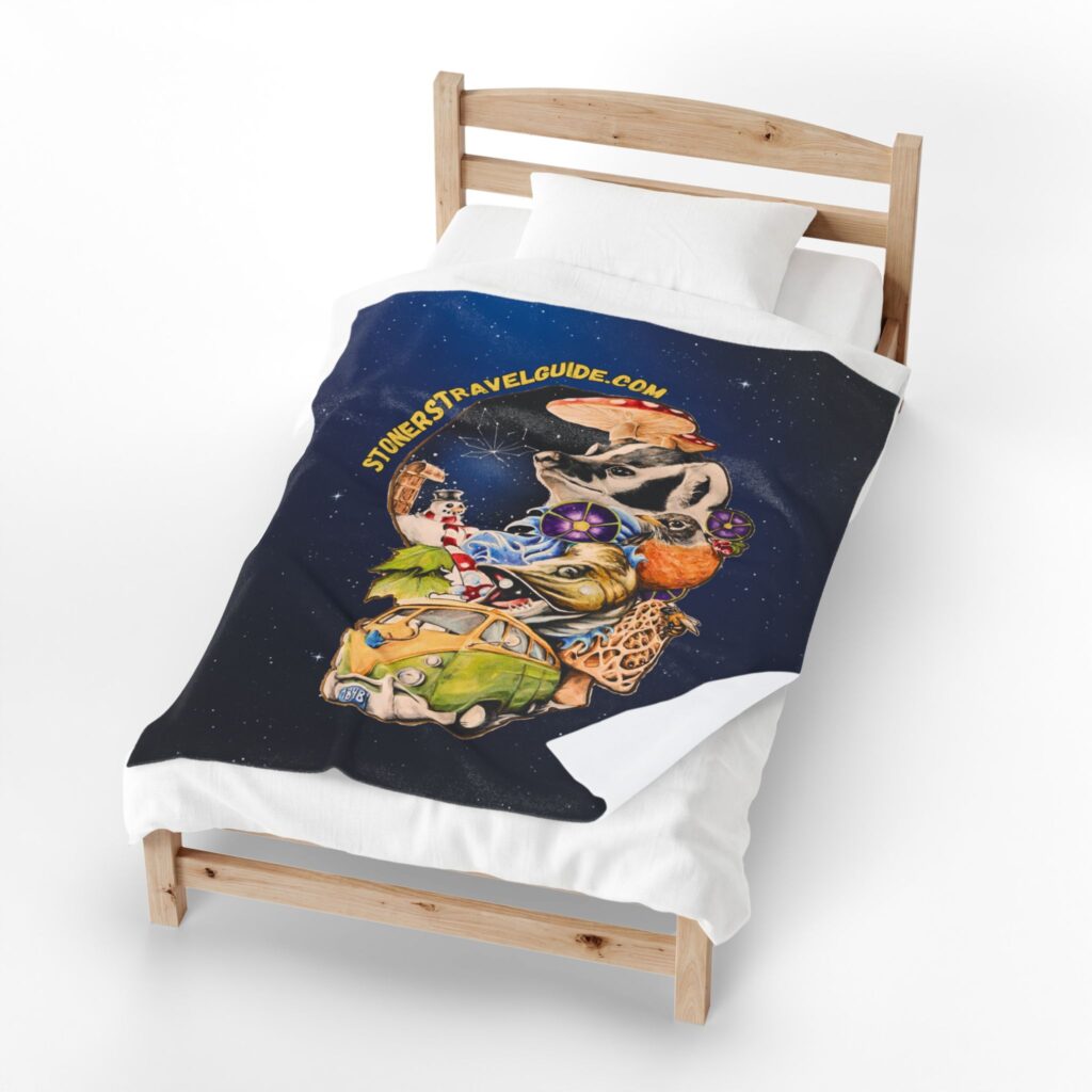 the stoner's travel guide to wisconsin cover art plush blanket — whimsical cosmic collage velveteen throw