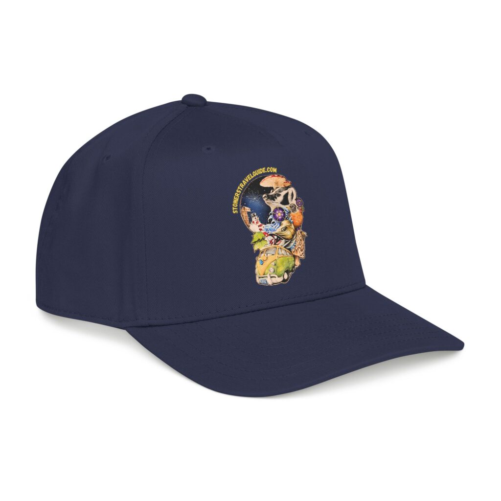 the stoner's travel guide to wisconsin branded baseball cap — vintage embroidered hat