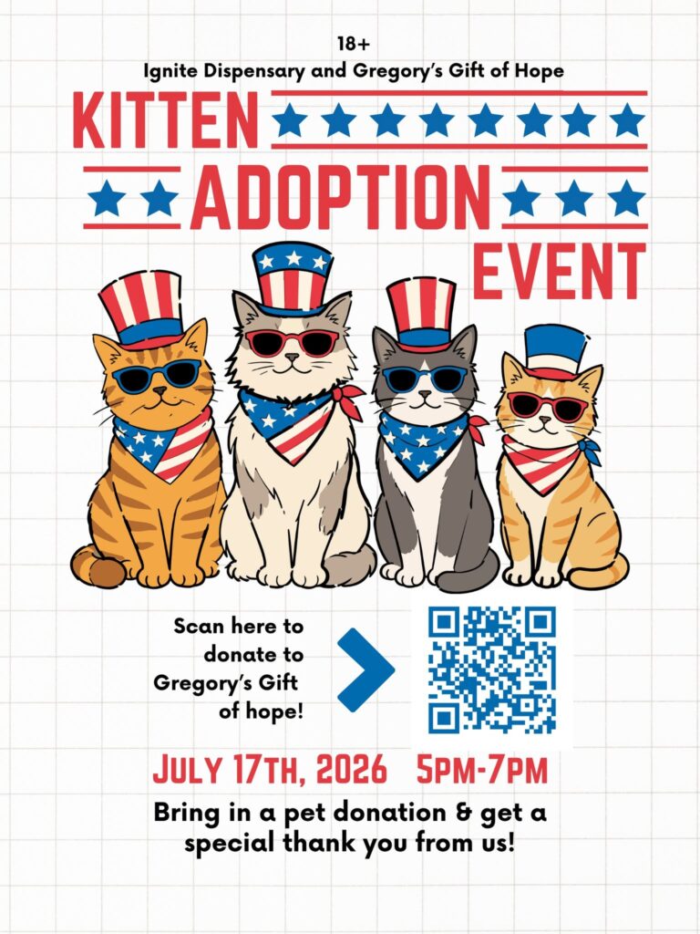 ignite adopt a kitten