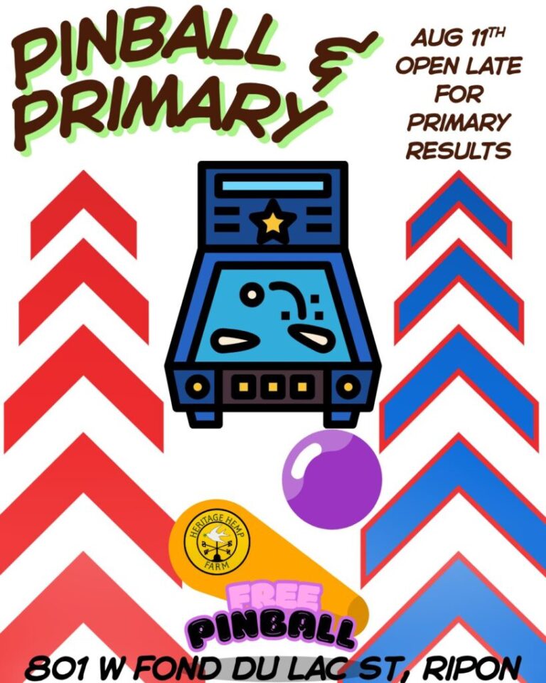 pinball  768x960