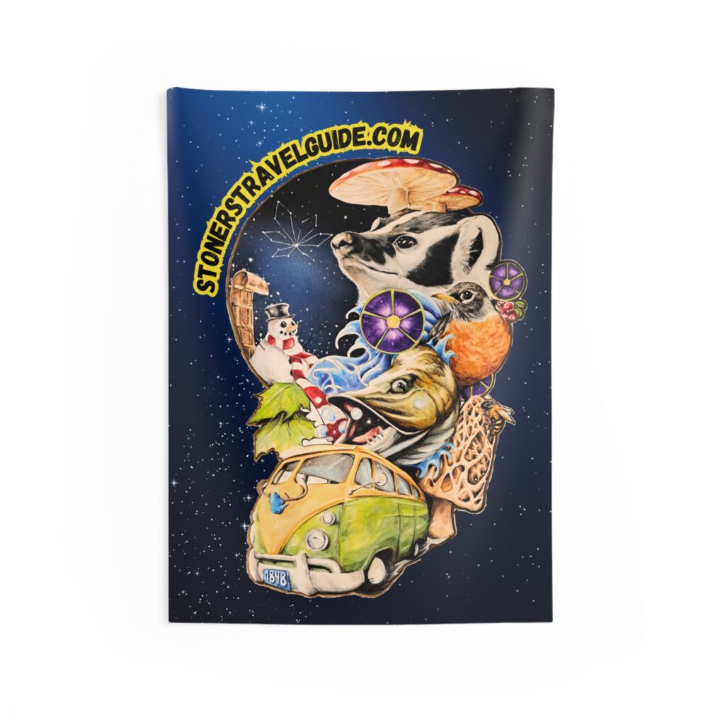 the stoner's travel guide to wisconsin starry wall tapestry